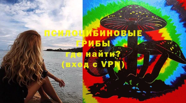 шишки Гусь-Хрустальный