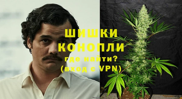 шишки Гусь-Хрустальный