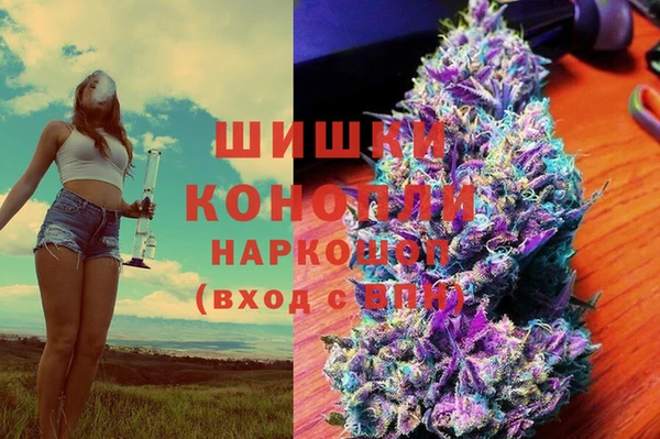 шишки Гусь-Хрустальный