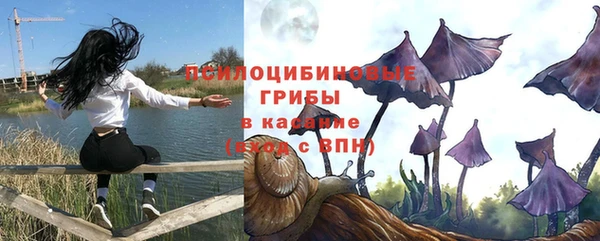 кокс Гусиноозёрск