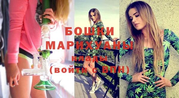 шишки Гусь-Хрустальный